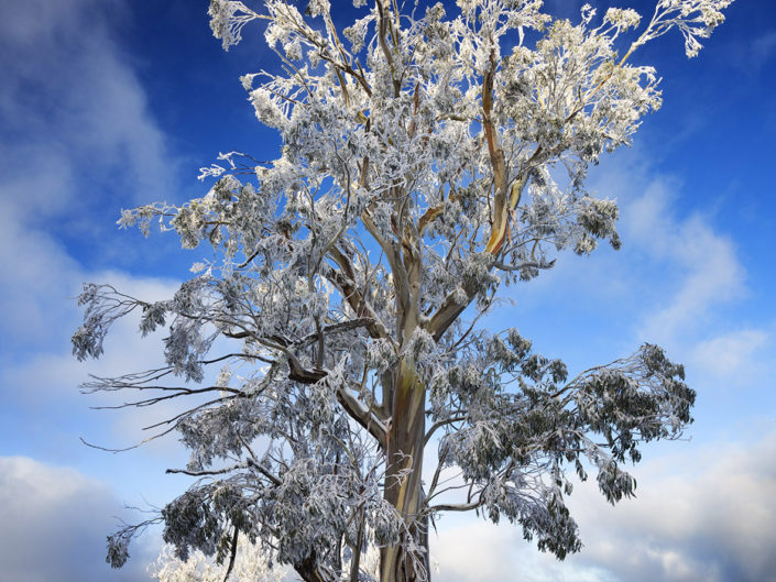 Chris Taylor As the blizzard passes...