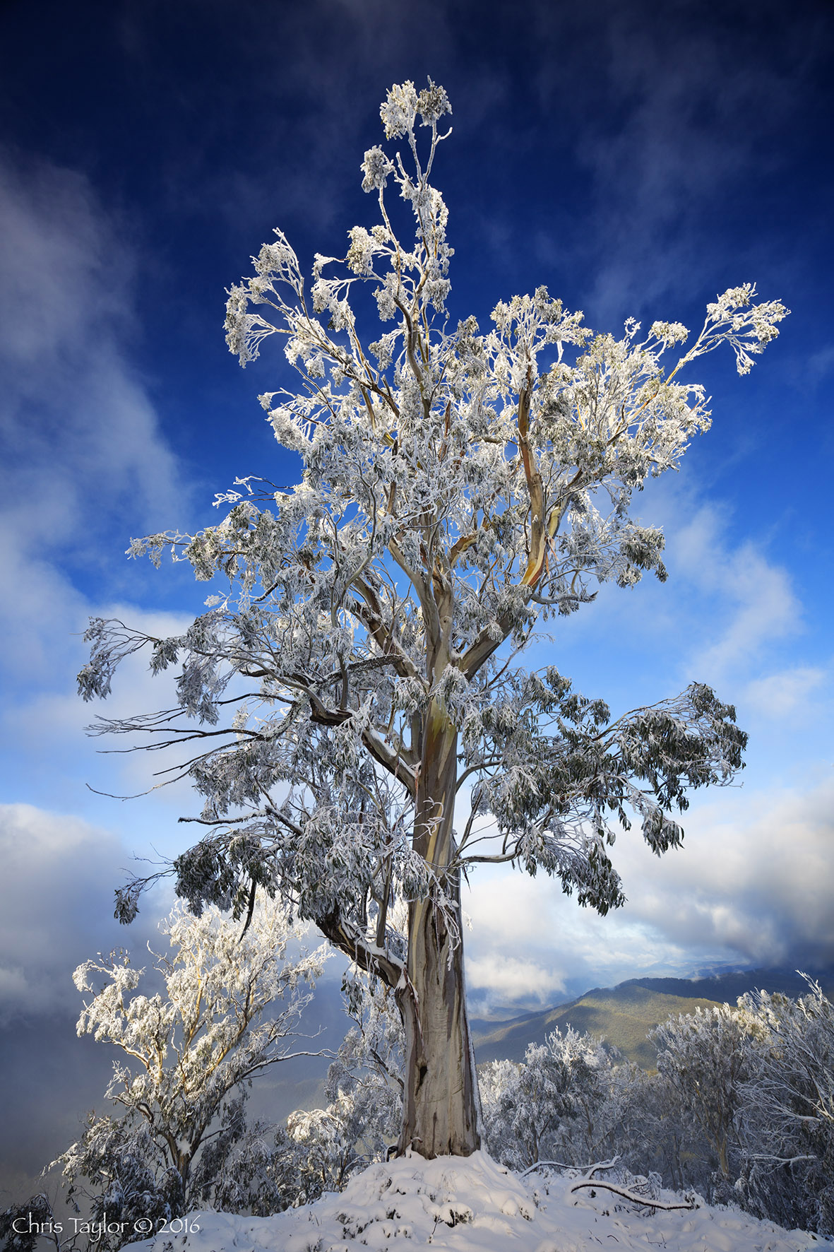 Chris Taylor As the blizzard passes...