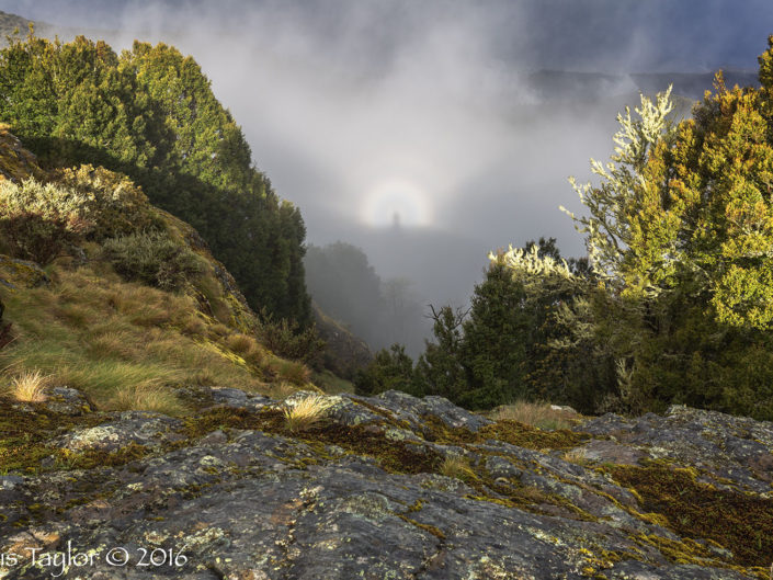 Broken Spectre - Chris Taylor Photography