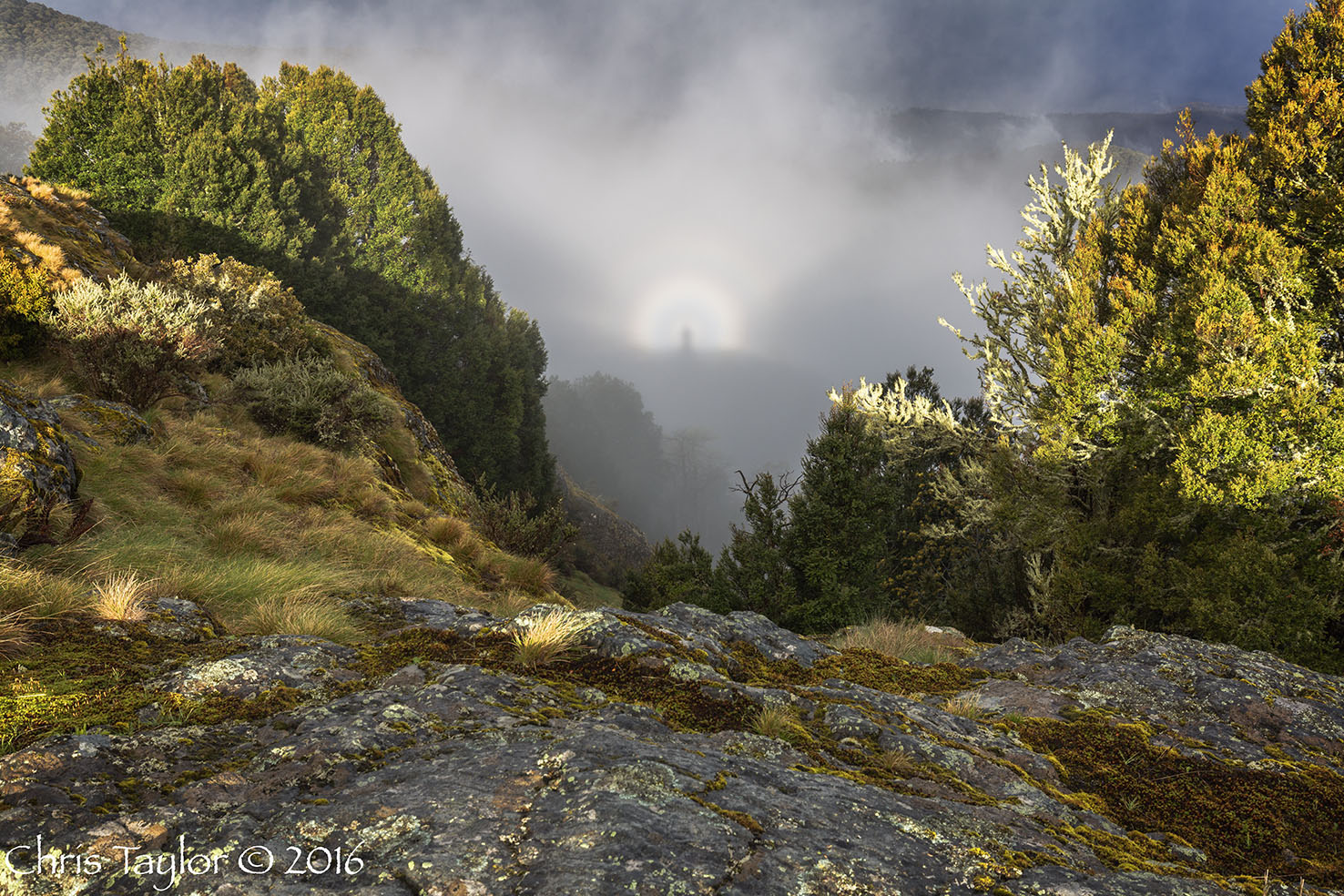 Broken Spectre - Chris Taylor Photography
