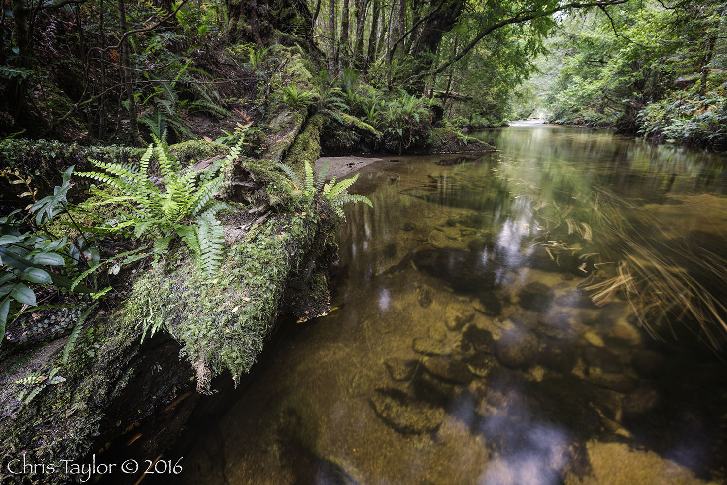 Baw Baw River - Chris Taylor Photography